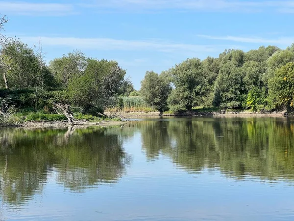 Lake Veliki Sakadas Floodplain Forests Kopacki Rit Nature Park Kopacevo — Fotografia de Stock