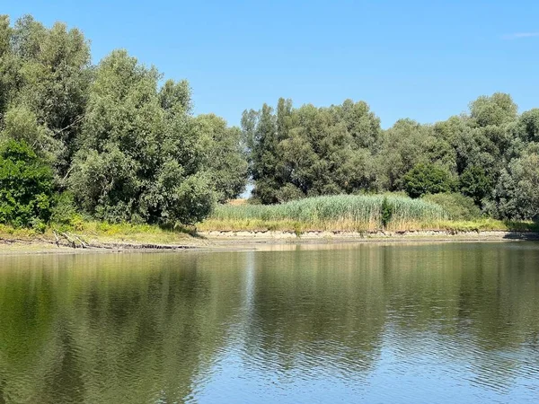 Lake Veliki Sakadas Floodplain Forests Kopacki Rit Nature Park Kopacevo — Fotografia de Stock