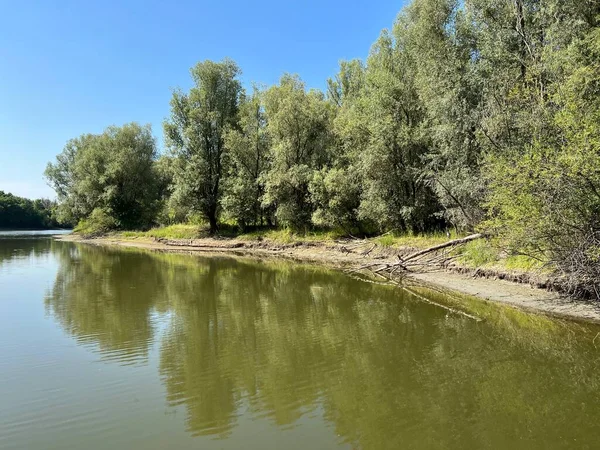 Lake Veliki Sakadas Floodplain Forests Kopacki Rit Nature Park Kopacevo — Foto de Stock