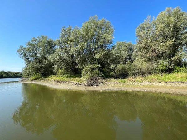 Lake Veliki Sakadas Floodplain Forests Kopacki Rit Nature Park Kopacevo — Fotografia de Stock