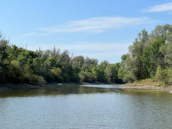 Lake Veliki Sakadas Floodplain Forests Kopacki Rit Nature Park Kopacevo — Foto de Stock