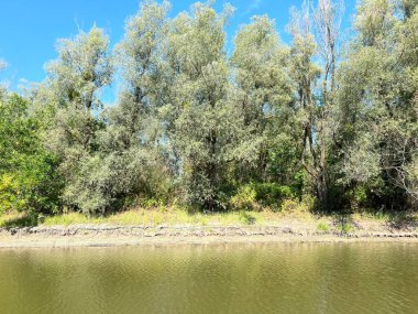 Lake Veliki Sakadas and floodplain forests, Kopacki rit Nature Park - Kopacevo, Croatia (Jezero Veliki Sakadas i poplavne sume, Park prirode Kopacki rit - Kopacevo, Hrvatska)