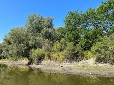 Lake Veliki Sakadas and floodplain forests, Kopacki rit Nature Park - Kopacevo, Croatia (Jezero Veliki Sakadas i poplavne sume, Park prirode Kopacki rit - Kopacevo, Hrvatska)