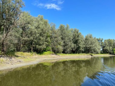Lake Veliki Sakadas and floodplain forests, Kopacki rit Nature Park - Kopacevo, Croatia (Jezero Veliki Sakadas i poplavne sume, Park prirode Kopacki rit - Kopacevo, Hrvatska)