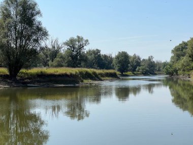 Lake Veliki Sakadas and floodplain forests, Kopacki rit Nature Park - Kopacevo, Croatia (Jezero Veliki Sakadas i poplavne sume, Park prirode Kopacki rit - Kopacevo, Hrvatska)