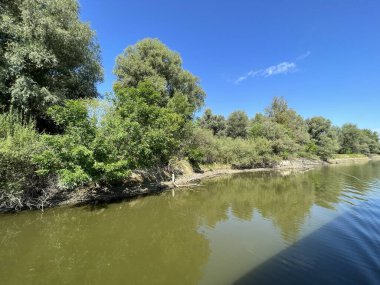 Lake Veliki Sakadas and floodplain forests, Kopacki rit Nature Park - Kopacevo, Croatia (Jezero Veliki Sakadas i poplavne sume, Park prirode Kopacki rit - Kopacevo, Hrvatska)