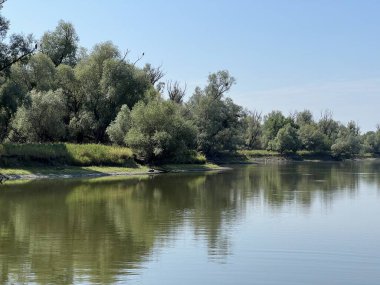Lake Veliki Sakadas and floodplain forests, Kopacki rit Nature Park - Kopacevo, Croatia (Jezero Veliki Sakadas i poplavne sume, Park prirode Kopacki rit - Kopacevo, Hrvatska)