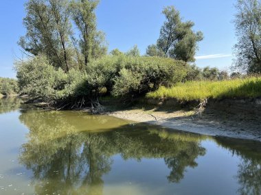 Lake Veliki Sakadas and floodplain forests, Kopacki rit Nature Park - Kopacevo, Croatia (Jezero Veliki Sakadas i poplavne sume, Park prirode Kopacki rit - Kopacevo, Hrvatska)