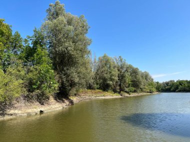Lake Veliki Sakadas and floodplain forests, Kopacki rit Nature Park - Kopacevo, Croatia (Jezero Veliki Sakadas i poplavne sume, Park prirode Kopacki rit - Kopacevo, Hrvatska)