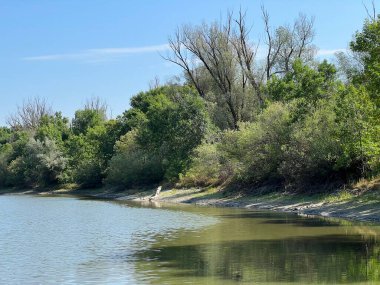 Lake Veliki Sakadas and floodplain forests, Kopacki rit Nature Park - Kopacevo, Croatia (Jezero Veliki Sakadas i poplavne sume, Park prirode Kopacki rit - Kopacevo, Hrvatska)