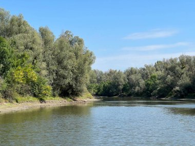Lake Veliki Sakadas and floodplain forests, Kopacki rit Nature Park - Kopacevo, Croatia (Jezero Veliki Sakadas i poplavne sume, Park prirode Kopacki rit - Kopacevo, Hrvatska)