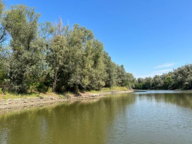 Lake Veliki Sakadas and floodplain forests, Kopacki rit Nature Park - Kopacevo, Croatia (Jezero Veliki Sakadas i poplavne sume, Park prirode Kopacki rit - Kopacevo, Hrvatska)