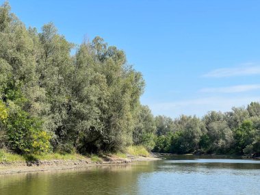Lake Veliki Sakadas and floodplain forests, Kopacki rit Nature Park - Kopacevo, Croatia (Jezero Veliki Sakadas i poplavne sume, Park prirode Kopacki rit - Kopacevo, Hrvatska)