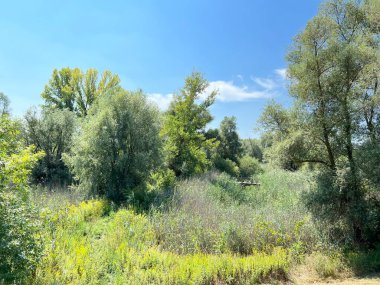 Water channels, floodplains and wetland vegetation in the Kopacki rit nature park - Kopacevo, Croatia (Naplavna podrucja i mocvarna vegetacija u parku prirode Kopacki rit - Kopacevo, Hrvatska)