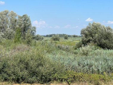 Water channels, floodplains and wetland vegetation in the Kopacki rit nature park - Kopacevo, Croatia (Naplavna podrucja i mocvarna vegetacija u parku prirode Kopacki rit - Kopacevo, Hrvatska)