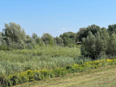 Water channels, floodplains and wetland vegetation in the Kopacki rit nature park - Kopacevo, Croatia (Naplavna podrucja i mocvarna vegetacija u parku prirode Kopacki rit - Kopacevo, Hrvatska)