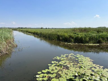 Water channels, floodplains and wetland vegetation in the Kopacki rit nature park - Kopacevo, Croatia (Naplavna podrucja i mocvarna vegetacija u parku prirode Kopacki rit - Kopacevo, Hrvatska)