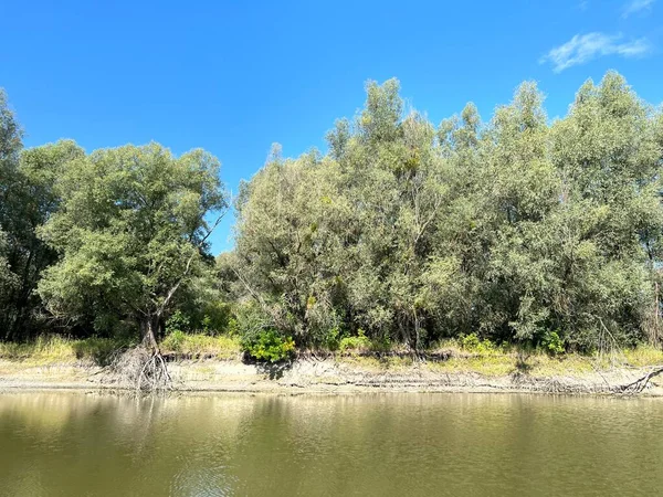 Lake Veliki Sakadas Floodplain Forests Kopacki Rit Nature Park Kopacevo — ストック写真