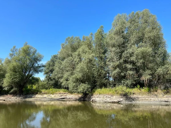 Lake Veliki Sakadas Floodplain Forests Kopacki Rit Nature Park Kopacevo —  Fotos de Stock