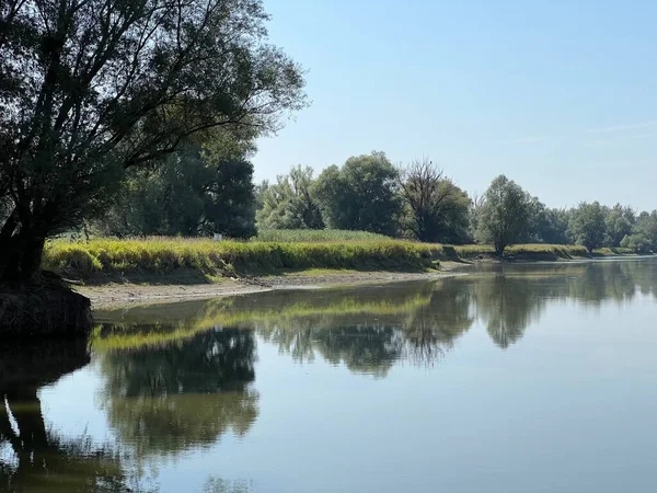 Lake Veliki Sakadas Floodplain Forests Kopacki Rit Nature Park Kopacevo — Zdjęcie stockowe