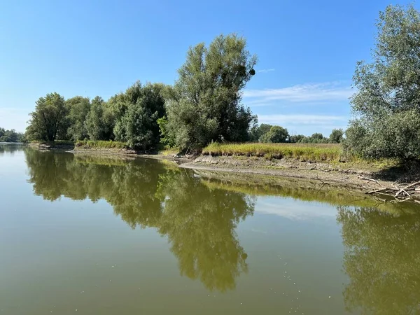 Lake Veliki Sakadas Floodplain Forests Kopacki Rit Nature Park Kopacevo — Fotografia de Stock