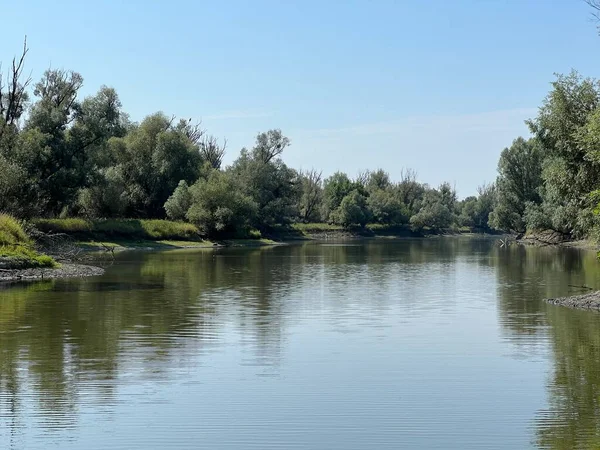 Lake Veliki Sakadas Floodplain Forests Kopacki Rit Nature Park Kopacevo — Foto Stock