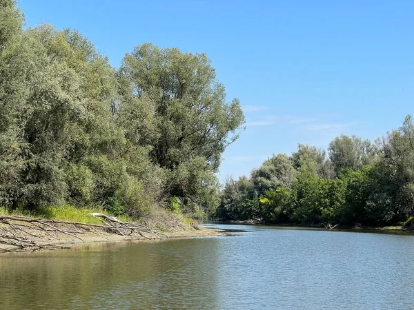 Lake Veliki Sakadas Floodplain Forests Kopacki Rit Nature Park Kopacevo — Fotografia de Stock