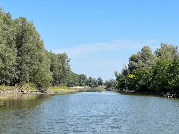 Lake Veliki Sakadas Floodplain Forests Kopacki Rit Nature Park Kopacevo — Foto Stock