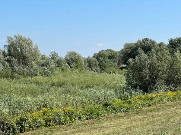Water channels, floodplains and wetland vegetation in the Kopacki rit nature park - Kopacevo, Croatia (Naplavna podrucja i mocvarna vegetacija u parku prirode Kopacki rit - Kopacevo, Hrvatska)