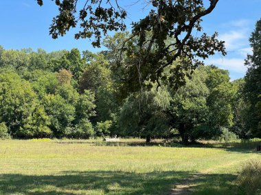 The park of the Tikves Castle in Kopacki rit Nature park or Park next to Tito's castle - Lug, Croatia (Park uz dvorac Tikves ili Perivoj Titovog dvorca, Park prirode Kopacki rit - Baranja, Hrvatska)