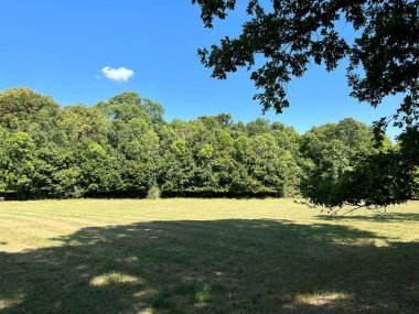 The park of the Tikves Castle in Kopacki rit Nature park or Park next to Tito's castle - Lug, Croatia (Park uz dvorac Tikves ili Perivoj Titovog dvorca, Park prirode Kopacki rit - Baranja, Hrvatska)