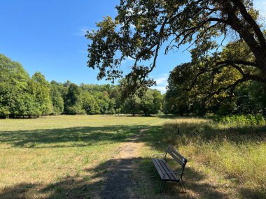 The park of the Tikves Castle in Kopacki rit Nature park or Park next to Tito's castle - Lug, Croatia (Park uz dvorac Tikves ili Perivoj Titovog dvorca, Park prirode Kopacki rit - Baranja, Hrvatska)