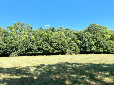 The park of the Tikves Castle in Kopacki rit Nature park or Park next to Tito's castle - Lug, Croatia (Park uz dvorac Tikves ili Perivoj Titovog dvorca, Park prirode Kopacki rit - Baranja, Hrvatska)