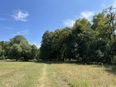The park of the Tikves Castle in Kopacki rit Nature park or Park next to Tito's castle - Lug, Croatia (Park uz dvorac Tikves ili Perivoj Titovog dvorca, Park prirode Kopacki rit - Baranja, Hrvatska)