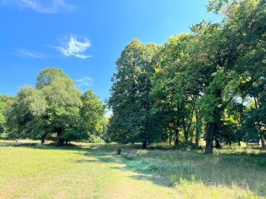 The park of the Tikves Castle in Kopacki rit Nature park or Park next to Tito's castle - Lug, Croatia (Park uz dvorac Tikves ili Perivoj Titovog dvorca, Park prirode Kopacki rit - Baranja, Hrvatska)