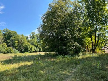 The park of the Tikves Castle in Kopacki rit Nature park or Park next to Tito's castle - Lug, Croatia (Park uz dvorac Tikves ili Perivoj Titovog dvorca, Park prirode Kopacki rit - Baranja, Hrvatska)
