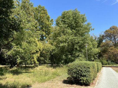 The park of the Tikves Castle in Kopacki rit Nature park or Park next to Tito's castle - Lug, Croatia (Park uz dvorac Tikves ili Perivoj Titovog dvorca, Park prirode Kopacki rit - Baranja, Hrvatska)