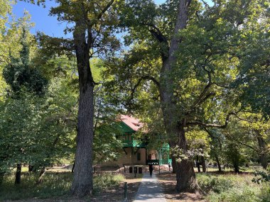The park of the Tikves Castle in Kopacki rit Nature park or Park next to Tito's castle - Lug, Croatia (Park uz dvorac Tikves ili Perivoj Titovog dvorca, Park prirode Kopacki rit - Baranja, Hrvatska)