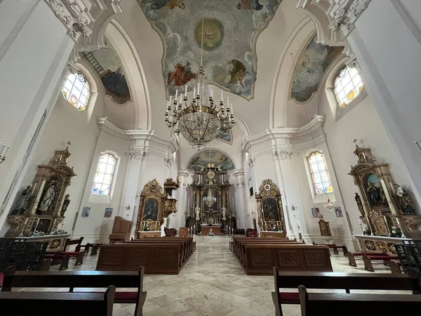 Avila Pozega Daki Aziz Teresa Katedrali Slavonya Hırvatistan Pozeska Katedrala — Stok fotoğraf