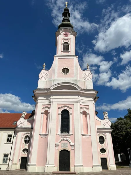 Katedra Teresy Avili Pozega Slawonia Chorwacja Pozeska Katedrala Ili Katedrala — Zdjęcie stockowe