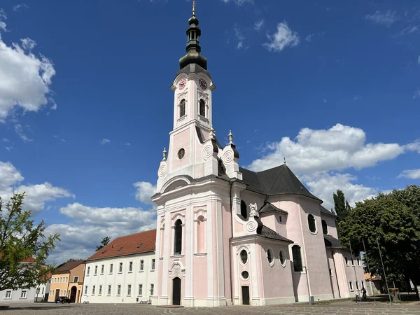 Catedral Santa Teresa Ávila Pozega Eslavonia Croacia Pozeska Katedrala Ili —  Fotos de Stock