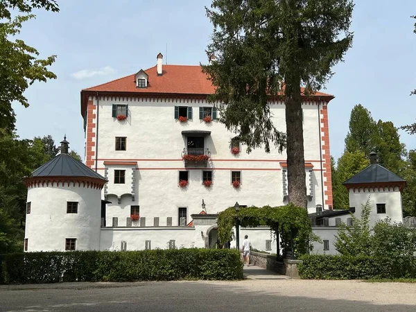 Sneznik Kastély Schloss Schneeberg Stari Trg Pri Lozu Szlovénia Grad — Stock Fotó
