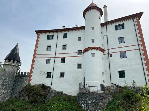 Sneznik Şatosu Schloss Schneeberg Stari Trg Pri Lozu Slovenya Grad — Stok fotoğraf