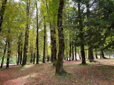 Sneznik Kalesi Parkı - Stari Trg pri Lozu, Slovenya (Park ob gradu Sneznik ali Grajski park Sneznik - Stari Trg pri Lozu, Slovenija)