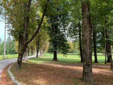 Sneznik Kalesi Parkı - Stari Trg pri Lozu, Slovenya (Park ob gradu Sneznik ali Grajski park Sneznik - Stari Trg pri Lozu, Slovenija)