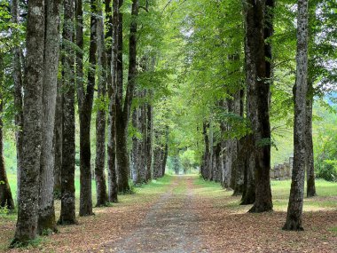 Sneznik Kalesi Parkı - Stari Trg pri Lozu, Slovenya (Park ob gradu Sneznik ali Grajski park Sneznik - Stari Trg pri Lozu, Slovenija)