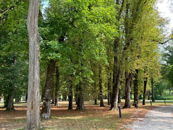 Parque Del Castillo Sneznik Stari Trg Pri Lozu Eslovenia Park — Foto de Stock