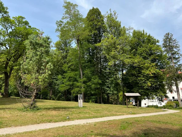 Sneznik Kastély Park Stari Trg Pri Lozu Szlovénia Park Gradu — Stock Fotó