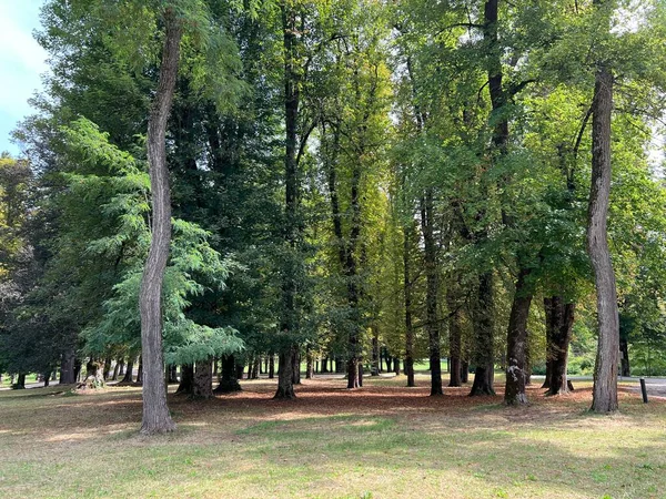 Zámecký Park Sneznik Stari Trg Pri Lozu Slovinsko Park Gradu — Stock fotografie