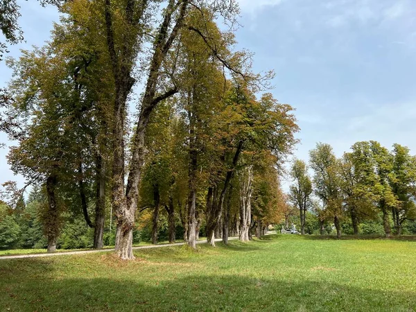 Zámecký Park Sneznik Stari Trg Pri Lozu Slovinsko Park Gradu — Stock fotografie